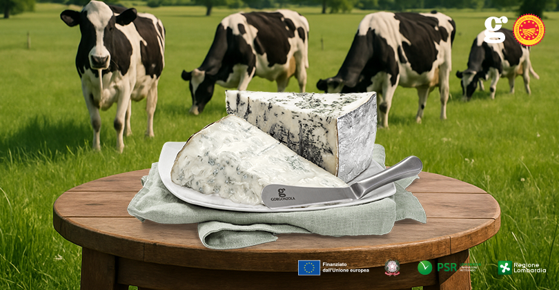 TOURISME AXÉ SUR LES FROMAGES : UNE NOUVELLE TENDANCE À EXPLORER