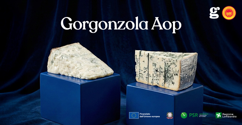 LE GORGONZOLA AOP EST PARMI LES FROMAGES LES PLUS RECHERCHÉS AU MONDE SUR LE WEB